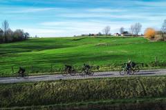 19635_1MW1D1C26004_000014